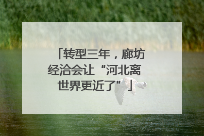 转型三年，廊坊经洽会让“河北离世界更近了”