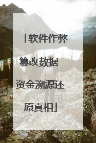 软件作弊篡改数据 资金溯源还原真相