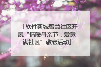软件新城智慧社区开展“情暖母亲节，爱意满社区”敬老活动