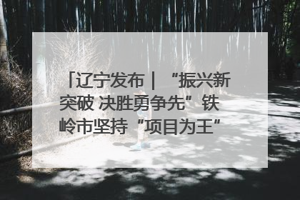 辽宁发布｜“振兴新突破 决胜勇争先”铁岭市坚持“项目为王”推进经济高质量发展
