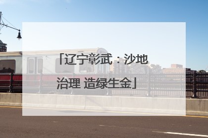 辽宁彰武：沙地治理 造绿生金