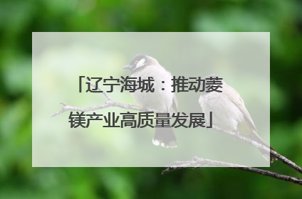 辽宁海城：推动菱镁产业高质量发展