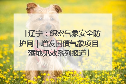 辽宁：织密气象安全防护网｜增发国债气象项目落地见效系列报道