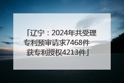 辽宁：2024年共受理专利预审请求7468件 获专利授权4213件