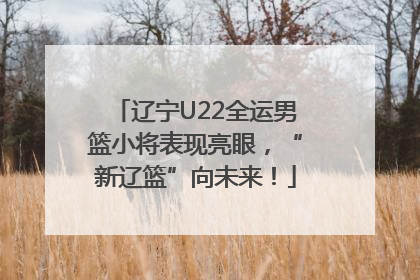 辽宁U22全运男篮小将表现亮眼，“新辽篮”向未来！