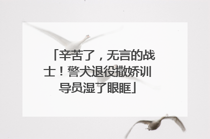 辛苦了，无言的战士！警犬退役撒娇训导员湿了眼眶