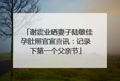 谢震业晒妻子陆敏佳孕肚照官宣喜讯：记录下第一个父亲节