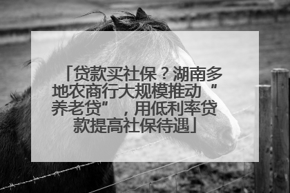 贷款买社保？湖南多地农商行大规模推动“养老贷”，用低利率贷款提高社保待遇