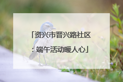 资兴市晋兴路社区：端午活动暖人心