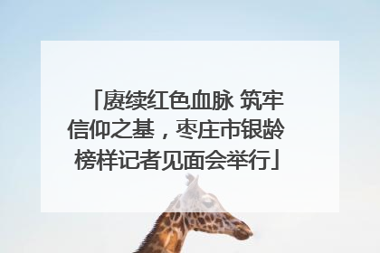 赓续红色血脉 筑牢信仰之基，枣庄市银龄榜样记者见面会举行