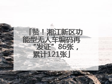 赞！湘江新区功能型无人车编码再“发证”86张，累计121张