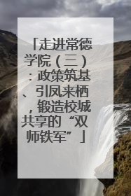 走进常德学院（三）：政策筑基、引凤来栖，锻造校城共享的“双师铁军”