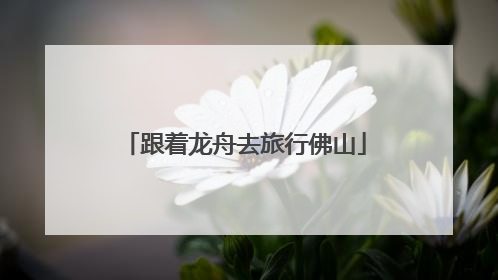 跟着龙舟去旅行佛山