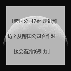 跨国公司为何走进潍坊？从跨国公司合作对接会看潍坊引力
