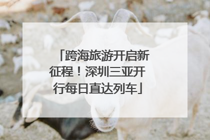 跨海旅游开启新征程！深圳三亚开行每日直达列车