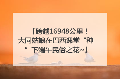 跨越16948公里！大同姑娘在巴西课堂“种”下端午民俗之花~