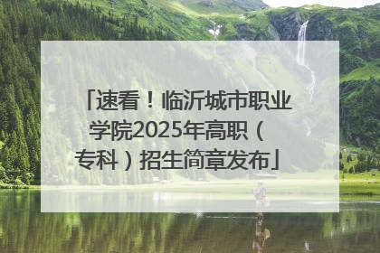 速看！临沂城市职业学院2025年高职（专科）招生简章发布