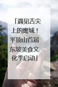 遇见舌尖上的鹰城！平顶山首届东坡美食文化季启动