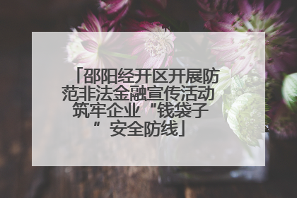 邵阳经开区开展防范非法金融宣传活动 筑牢企业“钱袋子”安全防线