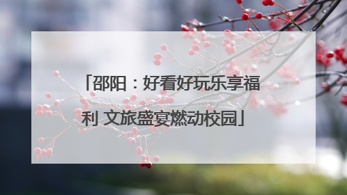 邵阳：好看好玩乐享福利 文旅盛宴燃动校园