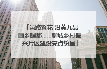 邑路繁花 沿黄九品 画乡鲤都……聊城乡村振兴片区建设亮点纷呈