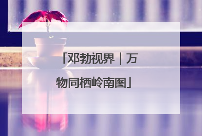 邓勃视界｜万物同栖岭南图
