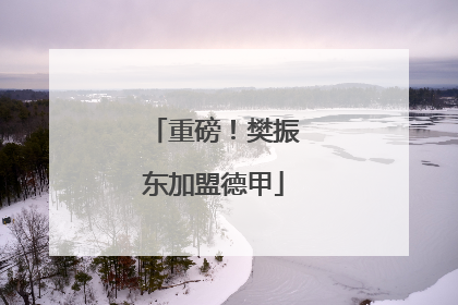 重磅！樊振东加盟德甲