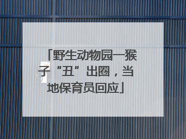 野生动物园一猴子“丑”出圈，当地保育员回应