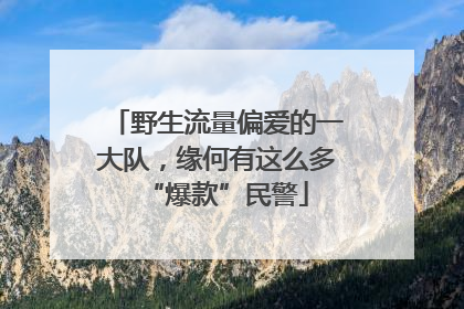 野生流量偏爱的一大队，缘何有这么多“爆款”民警