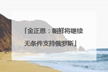 金正恩：朝鲜将继续无条件支持俄罗斯