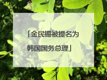 金民锡被提名为韩国国务总理