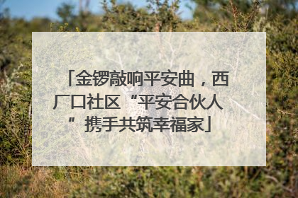金锣敲响平安曲，西厂口社区“平安合伙人”携手共筑幸福家