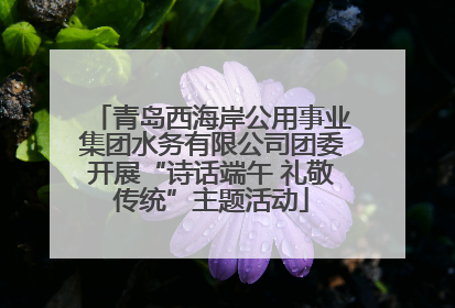 青岛西海岸公用事业集团水务有限公司团委开展“诗话端午 礼敬传统”主题活动