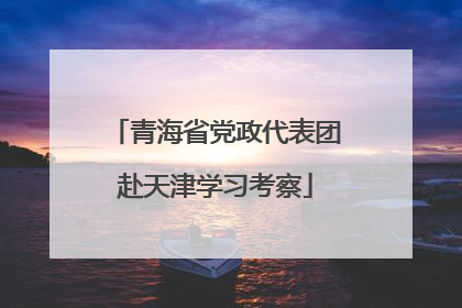 青海省党政代表团赴天津学习考察