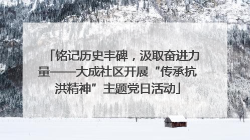 铭记历史丰碑，汲取奋进力量——大成社区开展“传承抗洪精神”主题党日活动