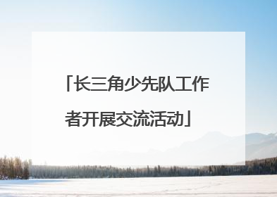 长三角少先队工作者开展交流活动