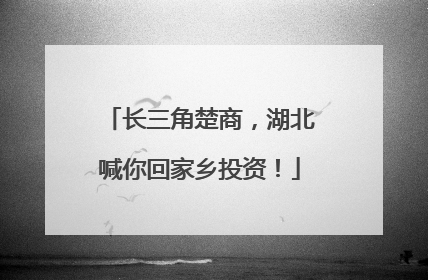 长三角楚商，湖北喊你回家乡投资！