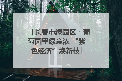 长春市绿园区：葡萄园里绿意浓 “紫色经济”焕新枝