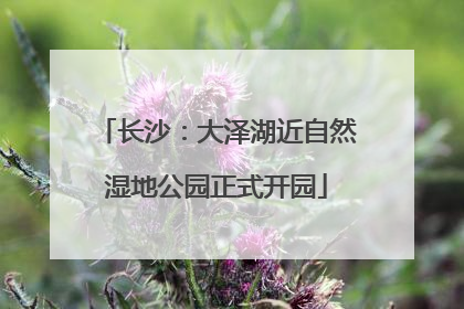 长沙：大泽湖近自然湿地公园正式开园