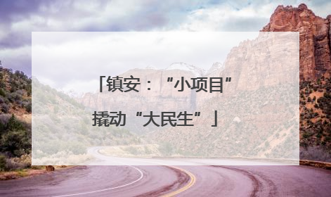 镇安：“小项目”撬动“大民生”