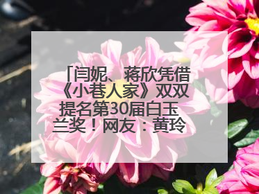 闫妮、蒋欣凭借《小巷人家》双双提名第30届白玉兰奖！网友：黄玲宋莹又相遇了