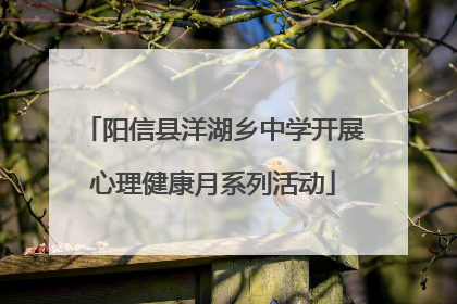 阳信县洋湖乡中学开展心理健康月系列活动