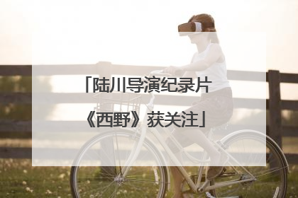 陆川导演纪录片《西野》获关注