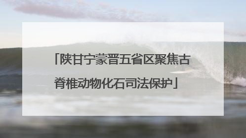 陕甘宁蒙晋五省区聚焦古脊椎动物化石司法保护