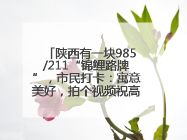 陕西有一块985/211“锦鲤路牌”，市民打卡：寓意美好，拍个视频祝高考生金榜题名