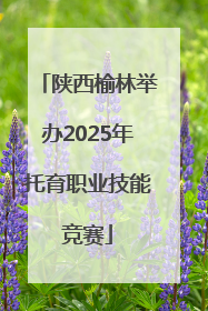 陕西榆林举办2025年托育职业技能竞赛
