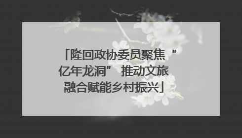 隆回政协委员聚焦“亿年龙洞” 推动文旅融合赋能乡村振兴