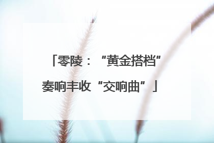 零陵：“黄金搭档”奏响丰收“交响曲”