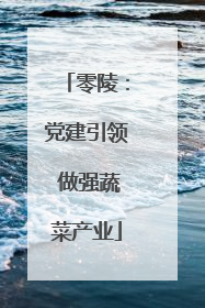零陵：党建引领 做强蔬菜产业