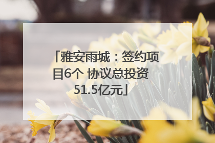雅安雨城：签约项目6个 协议总投资51.5亿元